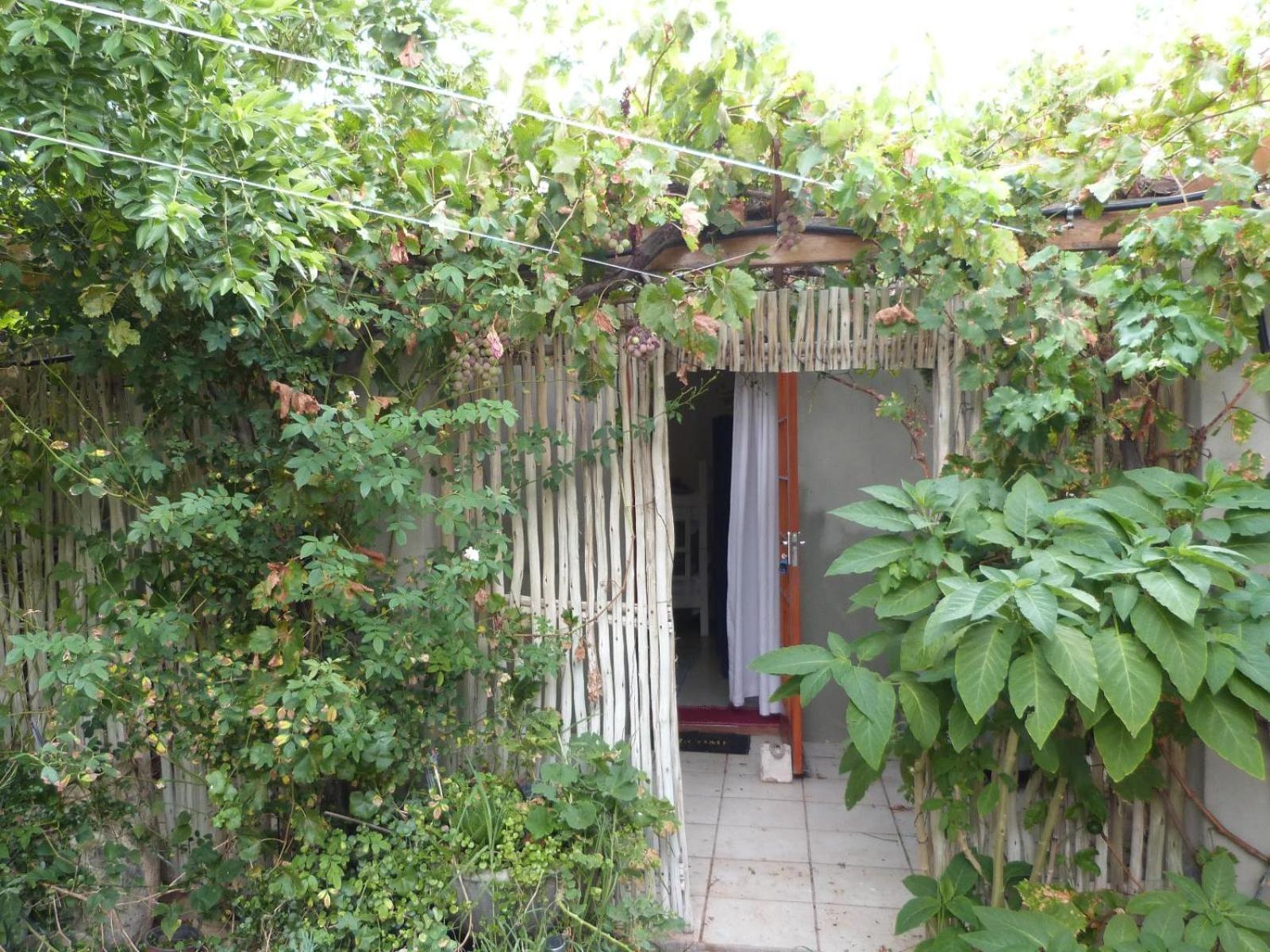 Hannah'S Haven Studio Deluxe - No Loadshedding Apartment Beaufort West Ngoại thất bức ảnh